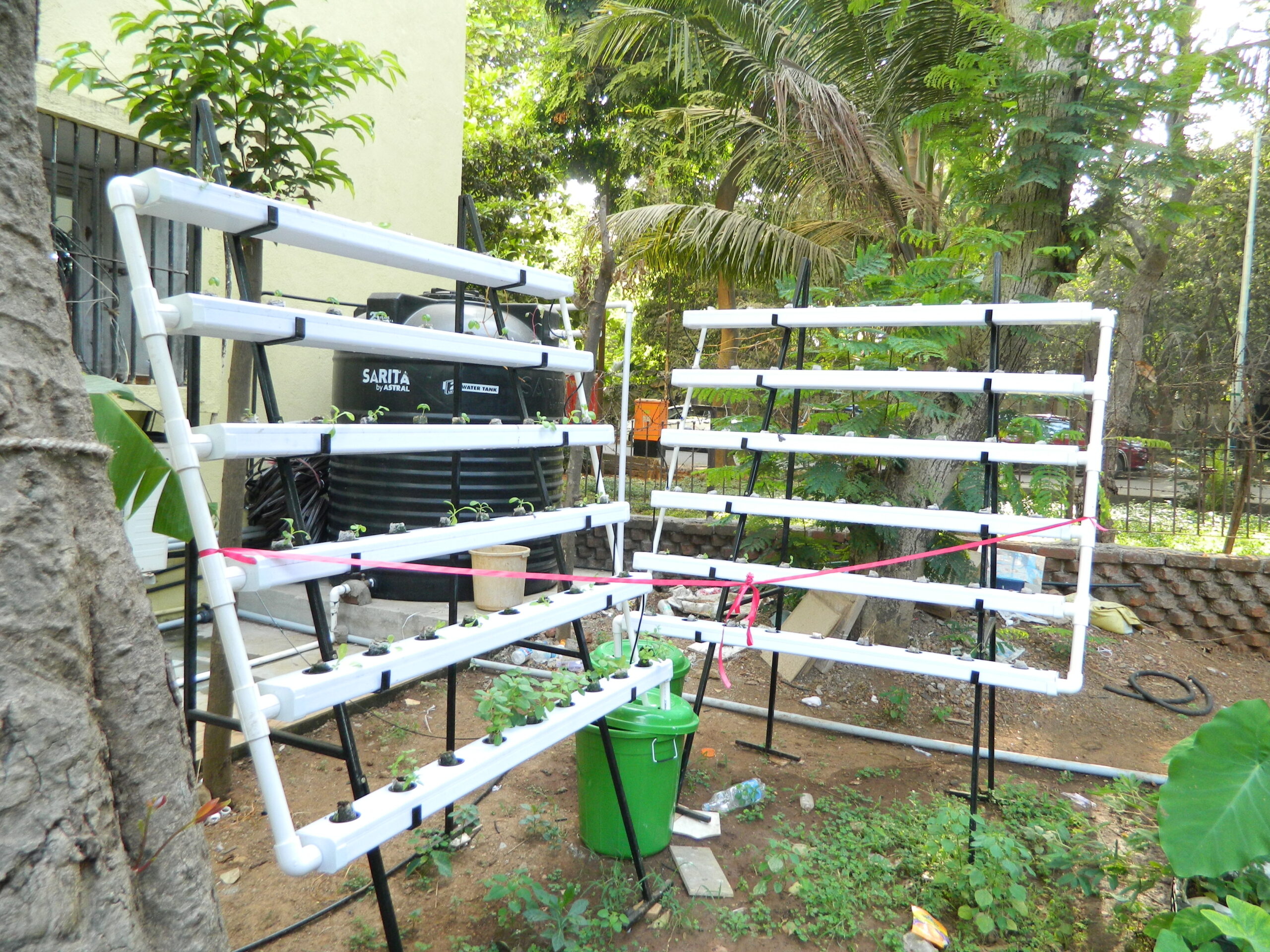 Read more about the article Resource-Efficient Vegetable Garden: “Where Herbs Thrive & Water is Wise”